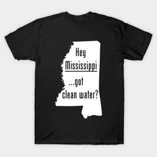 Mississippi - Got Clean Water? T-Shirt